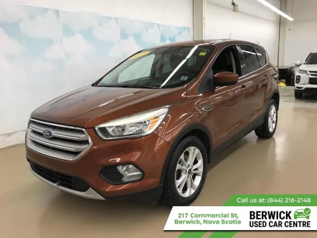 Ford Escape SE 2017